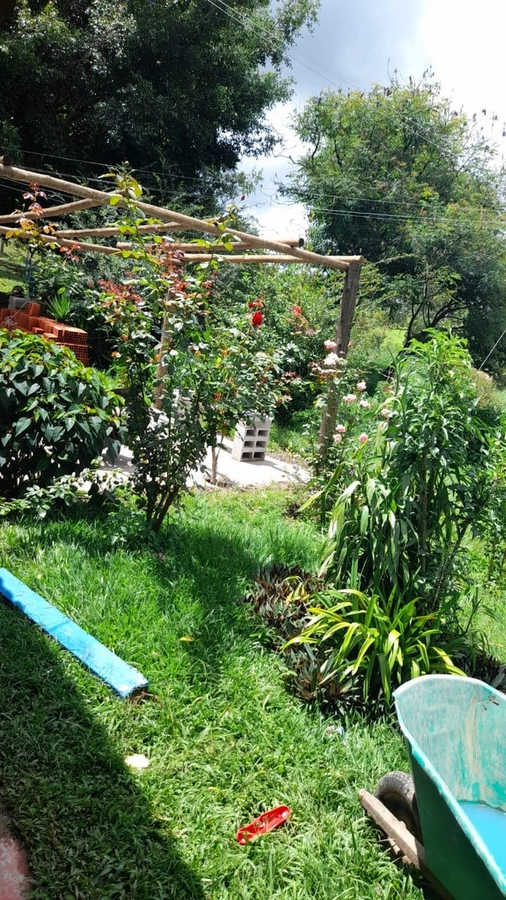 image_re_6769340.jpg