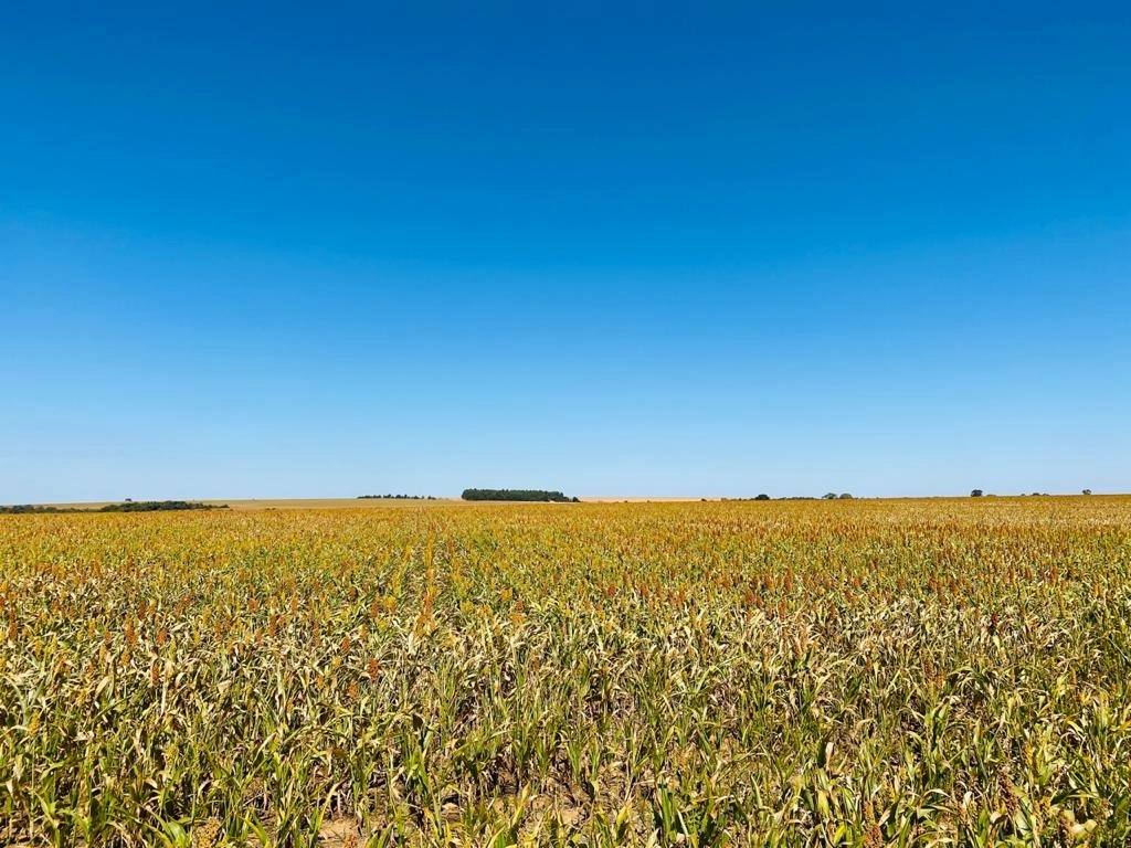 Fazenda/Sítios/Chácaras de 33880000m² no bairro Granjas Santo Antônio, em Anápolis | Eu Corretor
