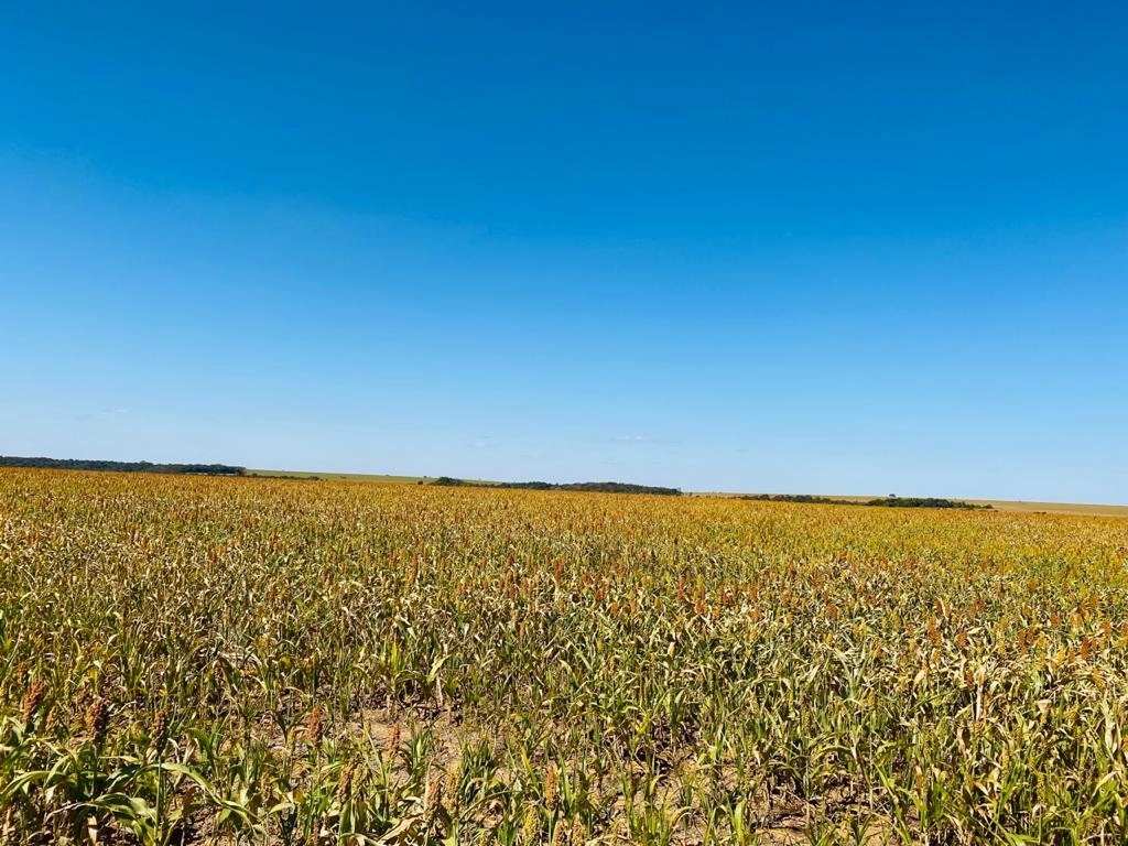 Fazenda/Sítios/Chácaras de 33880000m² no bairro Granjas Santo Antônio, em Anápolis | Eu Corretor