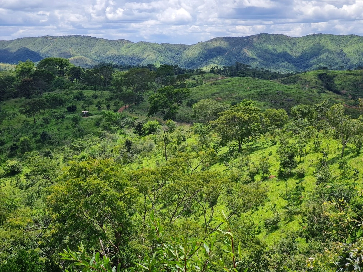 Fazenda/Sítios/Chácaras de 7500000m² no bairro Setor Norte, em Planaltina | Eu Corretor