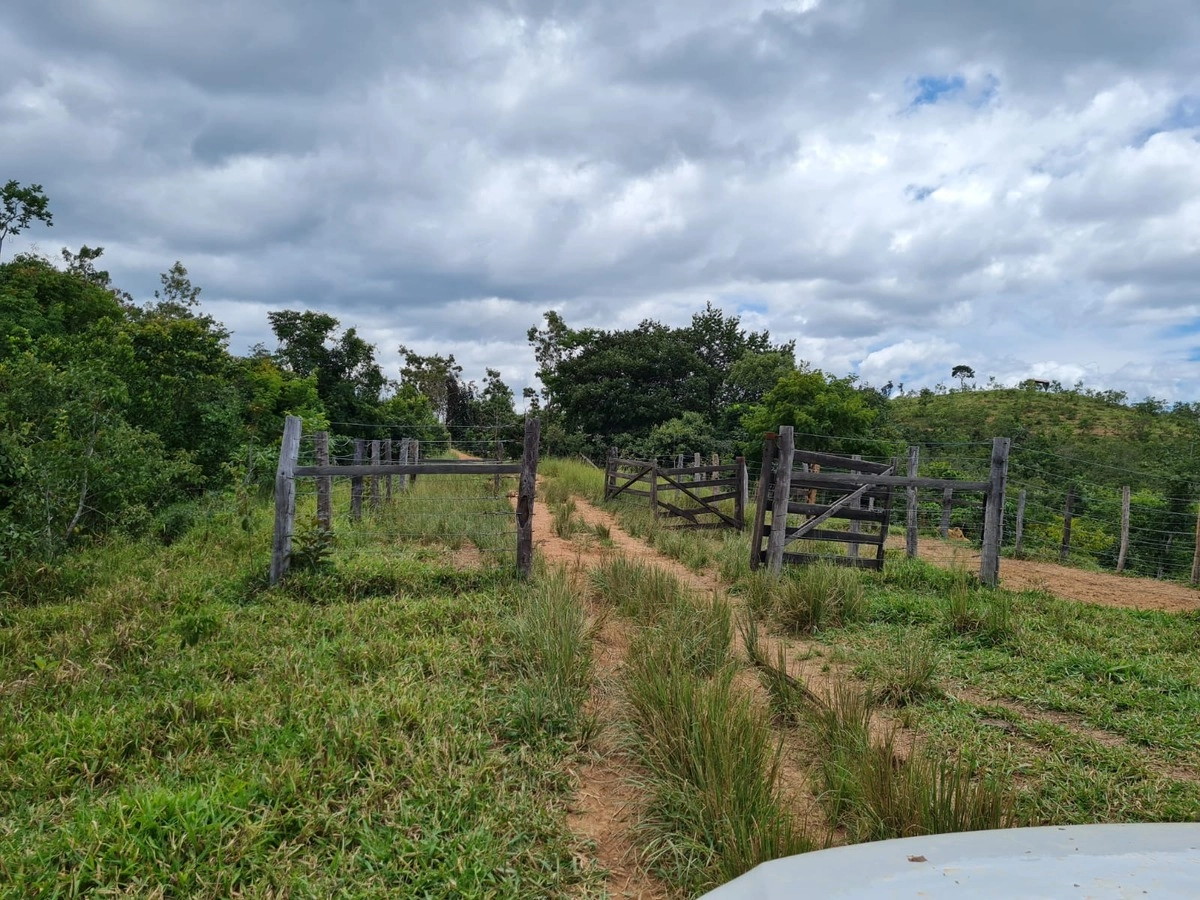 Fazenda/Sítios/Chácaras de 7500000m² no bairro Setor Norte, em Planaltina | Eu Corretor