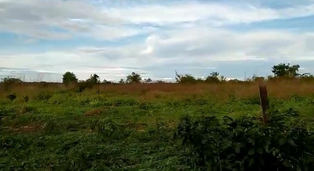 Fazenda/Sítios/Chácaras de 17520000m² no bairro Canabrava do Norte, em Canabrava do Norte | Eu Corretor