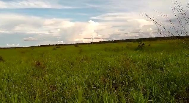 Fazenda/Sítios/Chácaras de 17520000m² no bairro Canabrava do Norte, em Canabrava do Norte | Eu Corretor