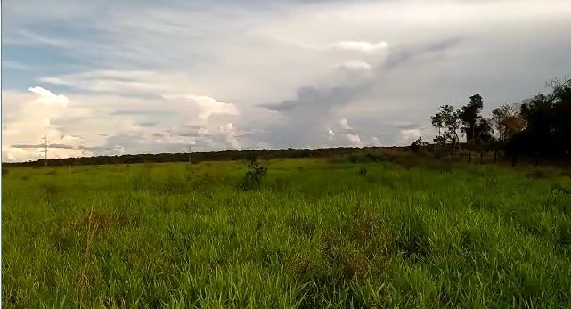 Fazenda/Sítios/Chácaras de 17520000m² no bairro Canabrava do Norte, em Canabrava do Norte | Eu Corretor