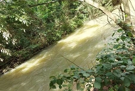 Fazenda/Sítios/Chácaras de 8700000m² no bairro Não informado, em Buritis | Eu Corretor