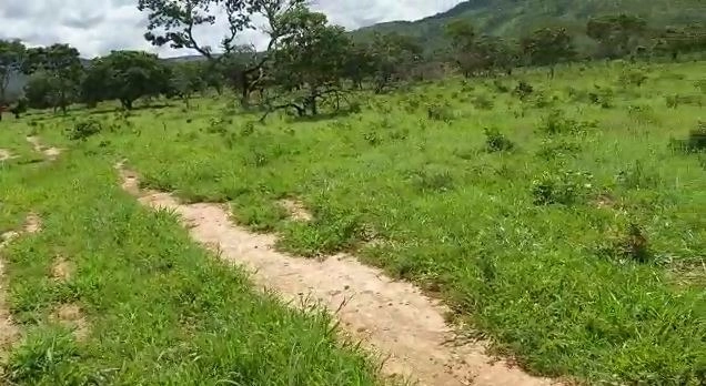 Fazenda/Sítios/Chácaras de 8700000m² no bairro Não informado, em Buritis | Eu Corretor