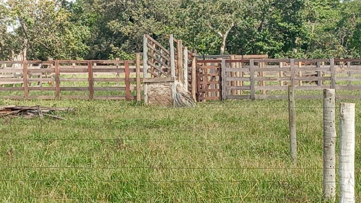 image_re_6769835.jpg