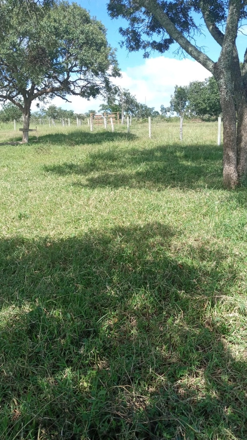 Fazenda/Sítios/Chácaras de 5400000m² no bairro Não informado, em Buritis | Eu Corretor