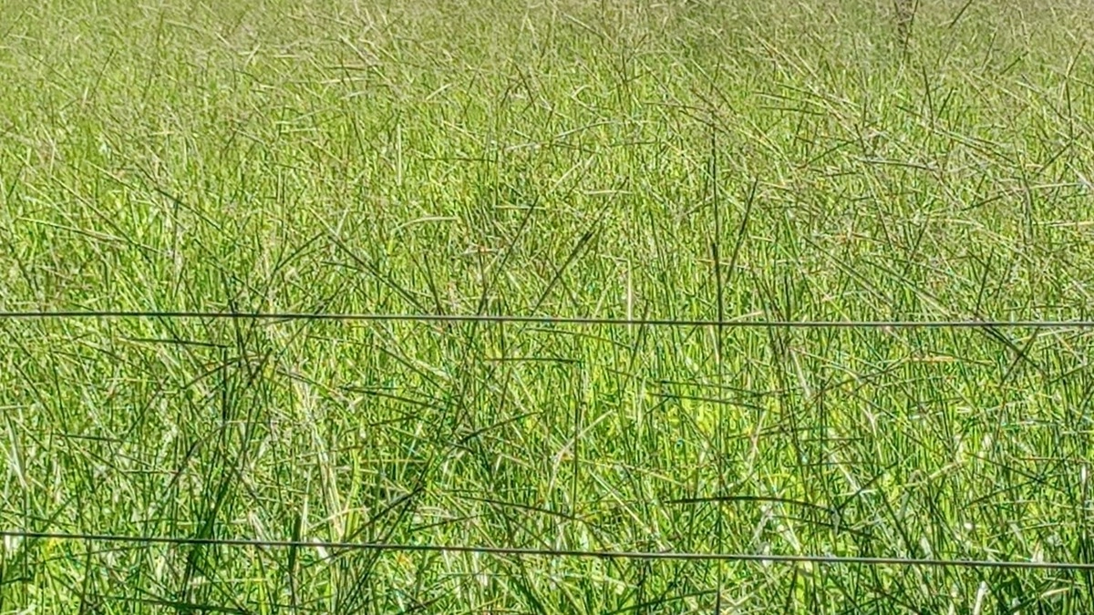 image_re_6769842.jpg