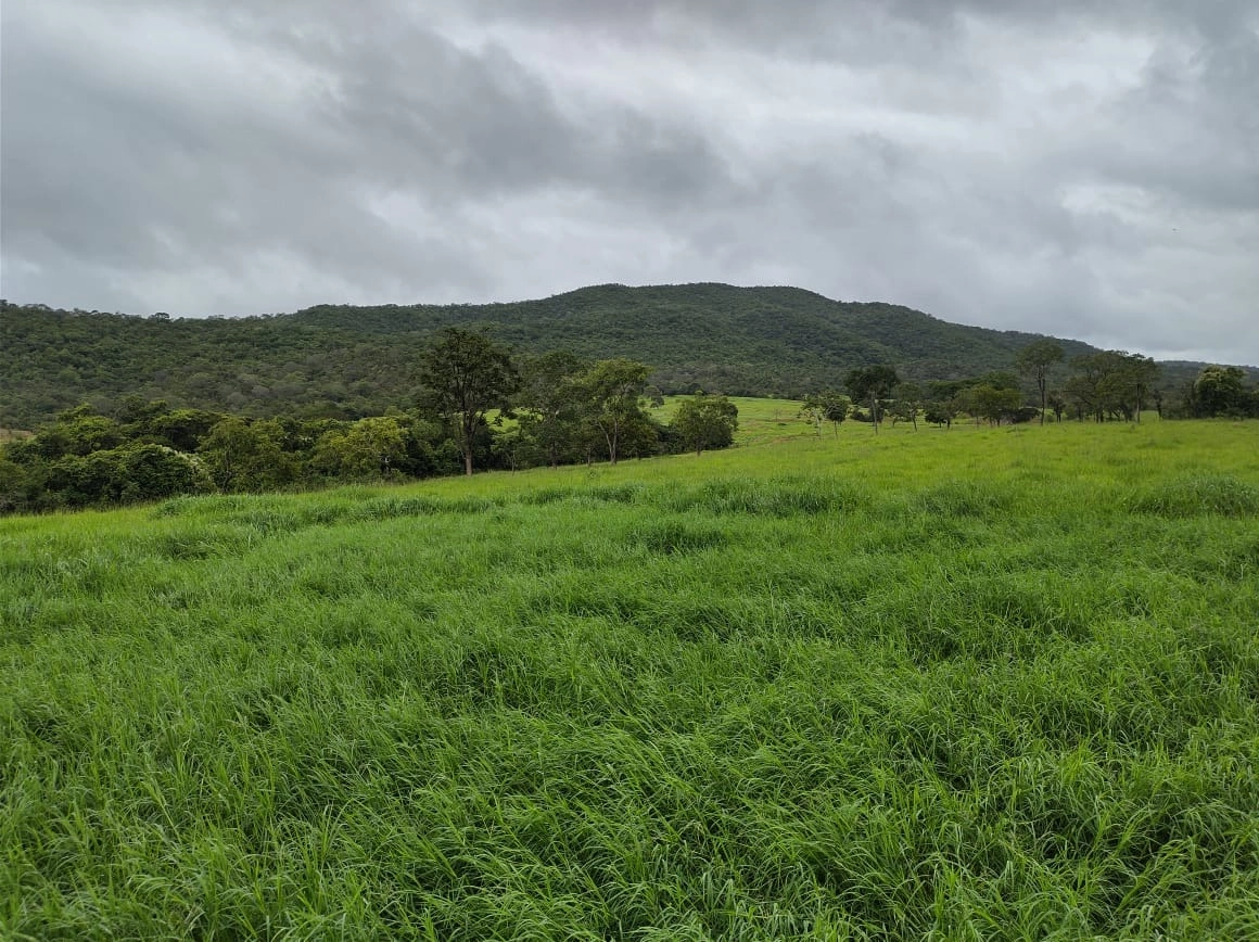 Fazenda/Sítios/Chácaras de 2670000m² no bairro Capim Branco II, em Unaí | Eu Corretor