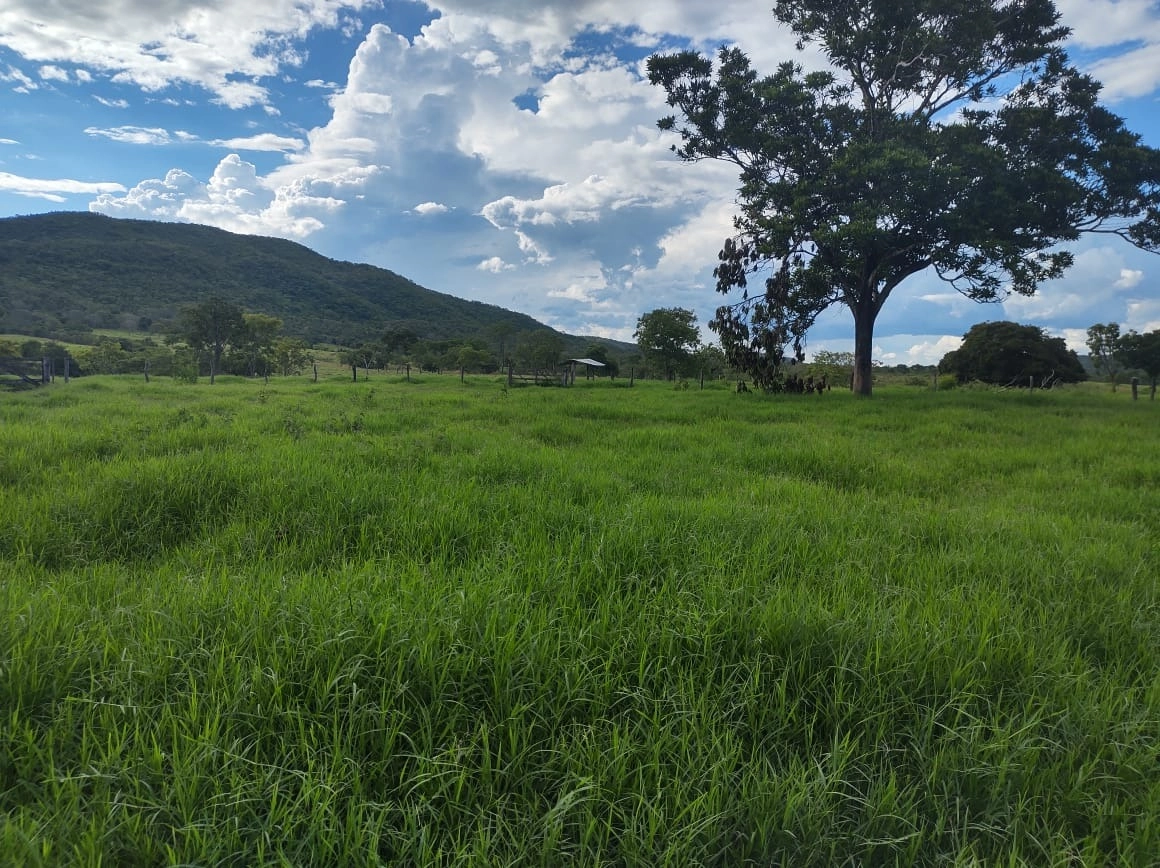 Fazenda/Sítios/Chácaras de 2670000m² no bairro Capim Branco II, em Unaí | Eu Corretor