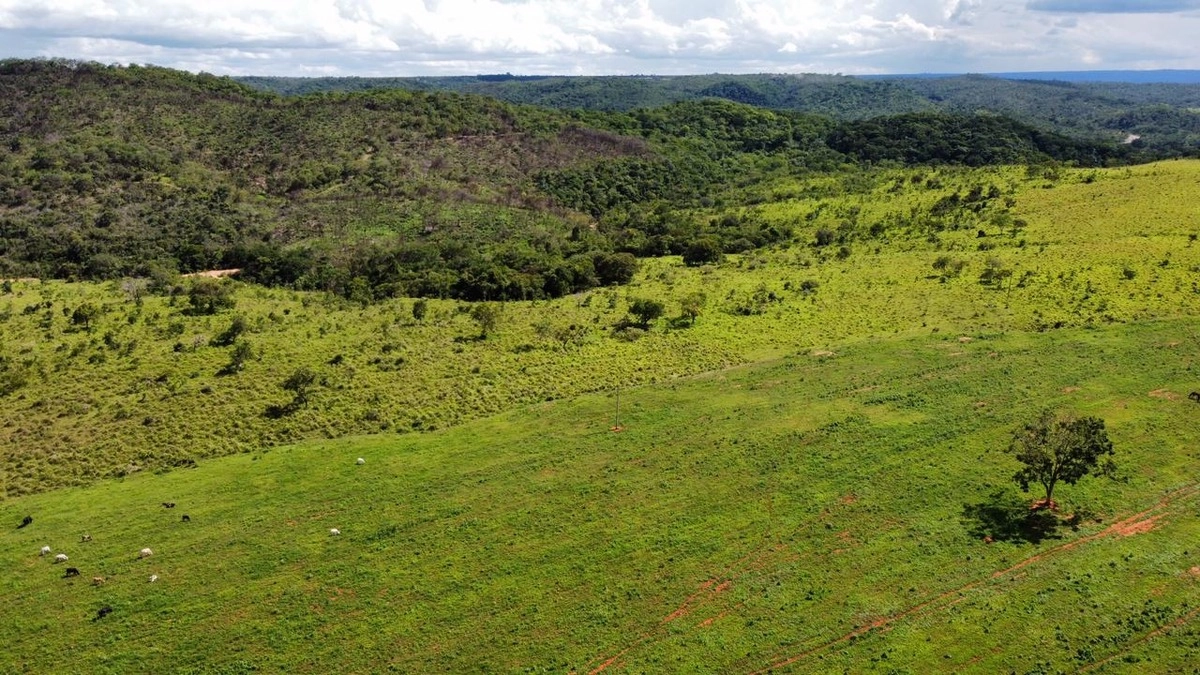 Fazenda/Sítios/Chácaras no bairro Setor Norte, em Planaltina | Eu Corretor