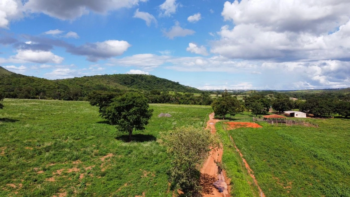 Fazenda/Sítios/Chácaras no bairro Setor Norte, em Planaltina | Eu Corretor