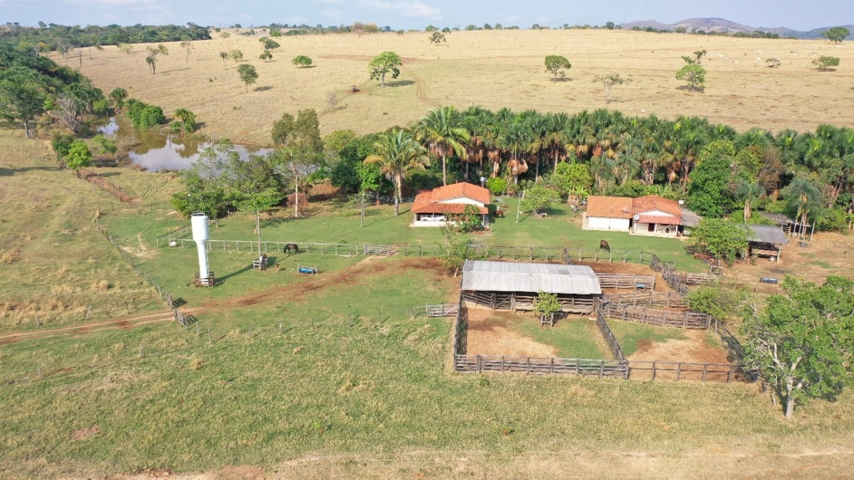 Fazenda/Sítios/Chácaras de 3242800m² no bairro Rianápolis, em Rianápolis | Eu Corretor