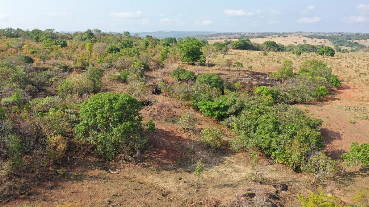 Fazenda/Sítios/Chácaras de 3242800m² no bairro Rianápolis, em Rianápolis | Eu Corretor