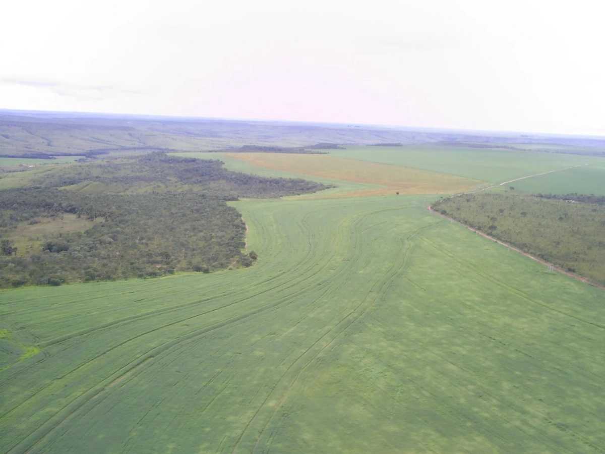 Fazenda/Sítios/Chácaras de 10000000m² no bairro Não informado, em Buritis | Eu Corretor