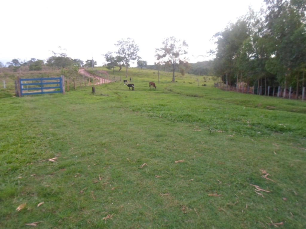 image_re_6770250.jpg