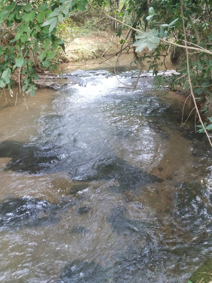 image_re_6770295.jpg