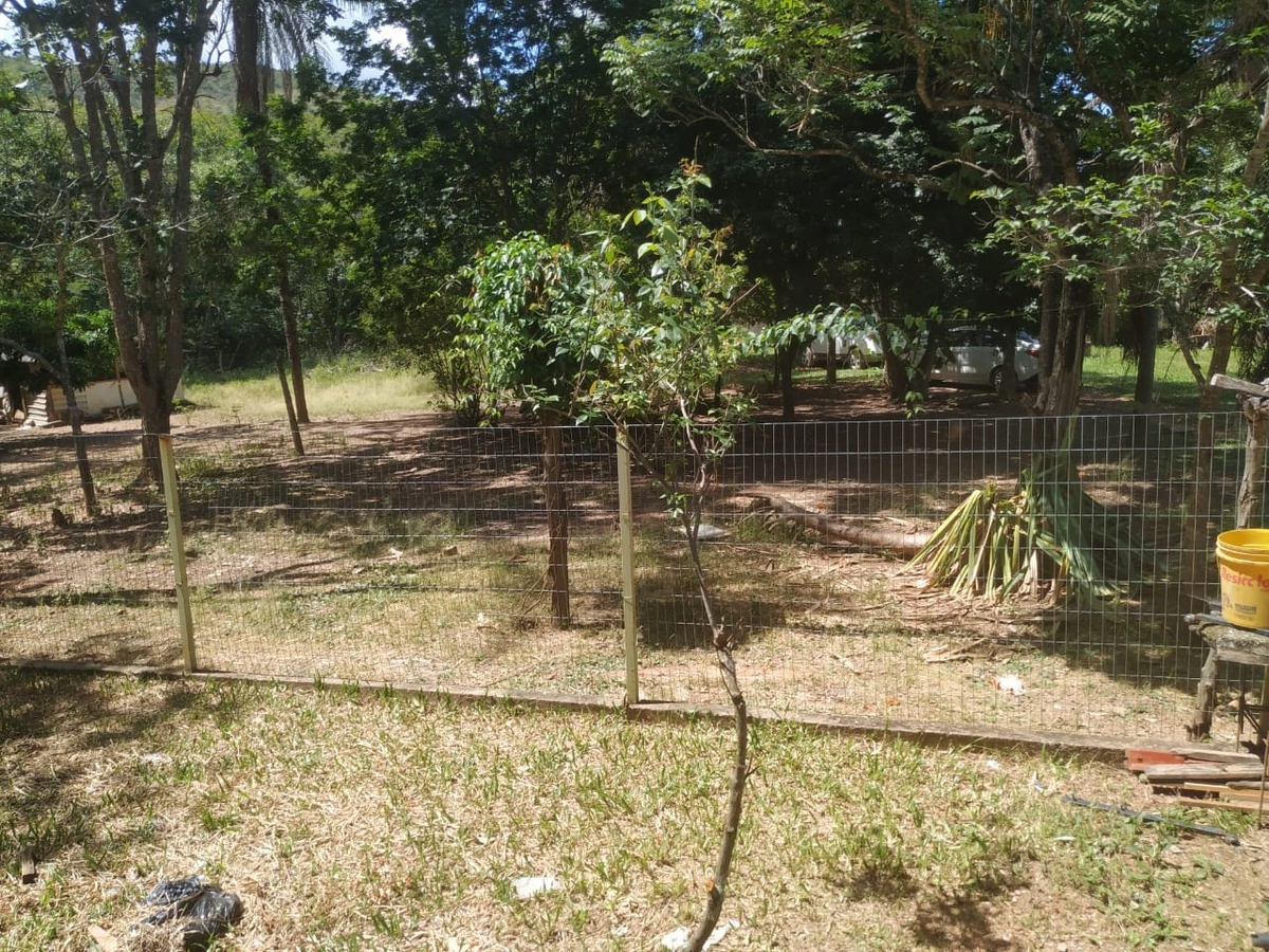 image_re_6770297.jpg