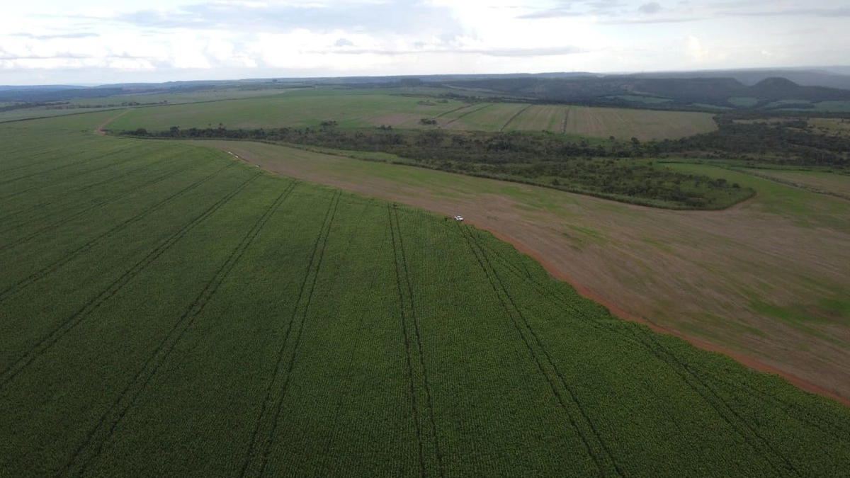 Fazenda/Sítios/Chácaras de 10648000m² no bairro Vila Santa Maria, em Ipameri | Eu Corretor