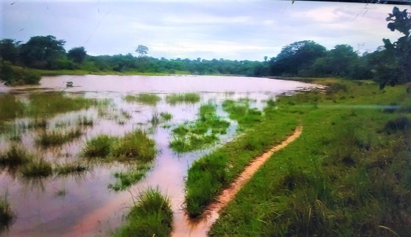 Fazenda/Sítios/Chácaras de 8100000m² no bairro Arinos, em Arinos | Eu Corretor