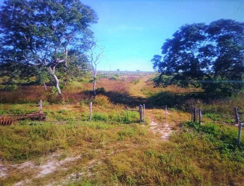 image_re_6770432.jpg