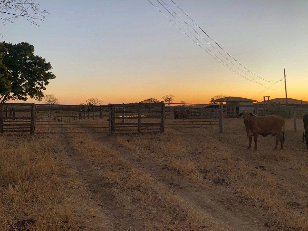 Fazenda/Sítios/Chácaras de 2030000m² no bairro Buritinópolis, em Buritinópolis | Eu Corretor