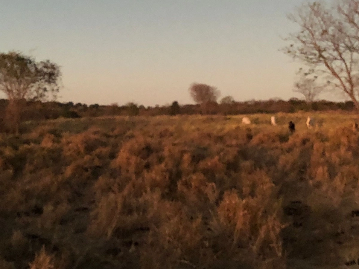 image_re_6770458.jpg