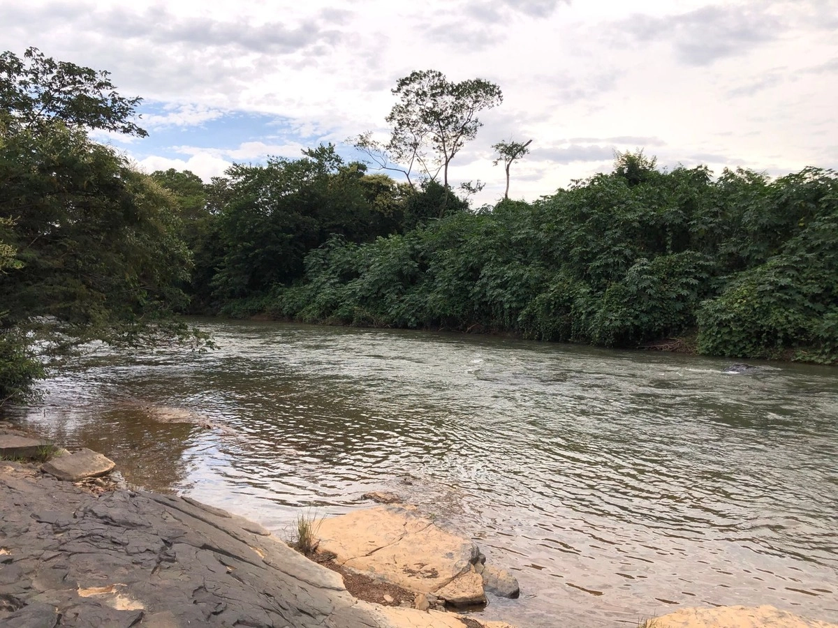 Fazenda/Sítios/Chácaras de 2400000m² no bairro Não informado, em Buritis | Eu Corretor