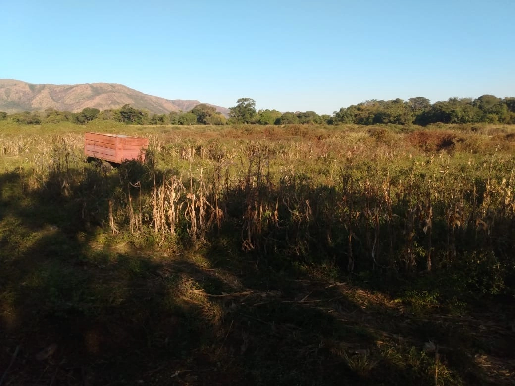 Fazenda/Sítios/Chácaras de 2178000m² no bairro Vila Boa, em Vila Boa | Eu Corretor