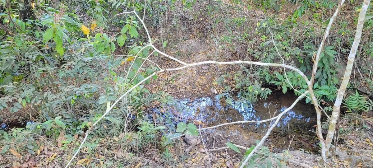 image_re_6770599.jpg