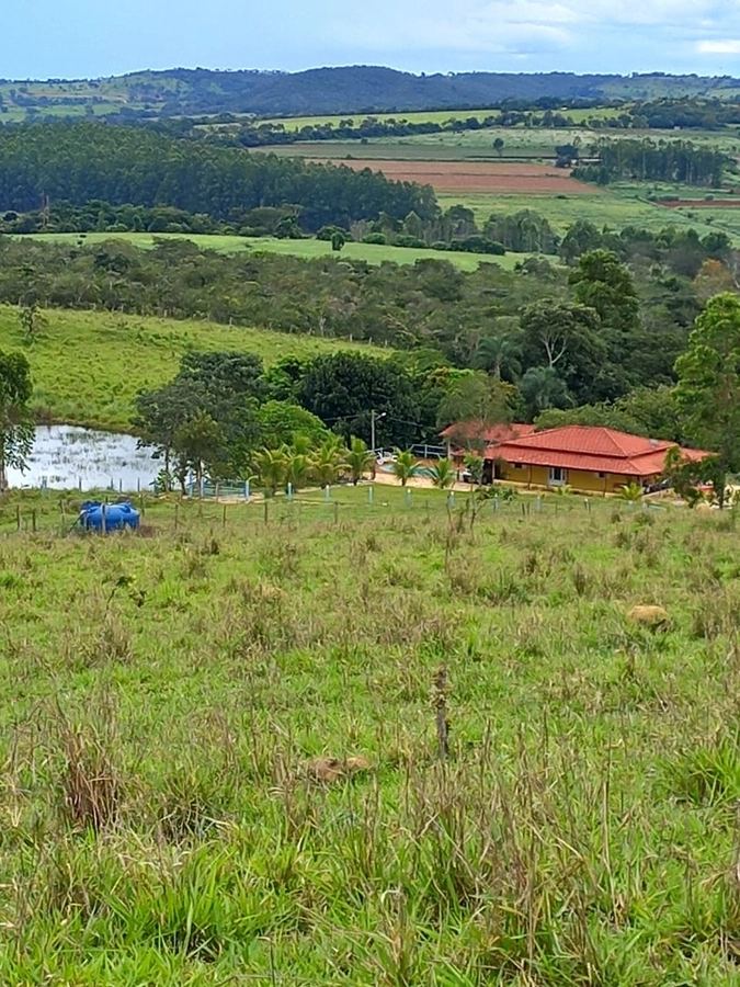 image_re_6770611.jpg