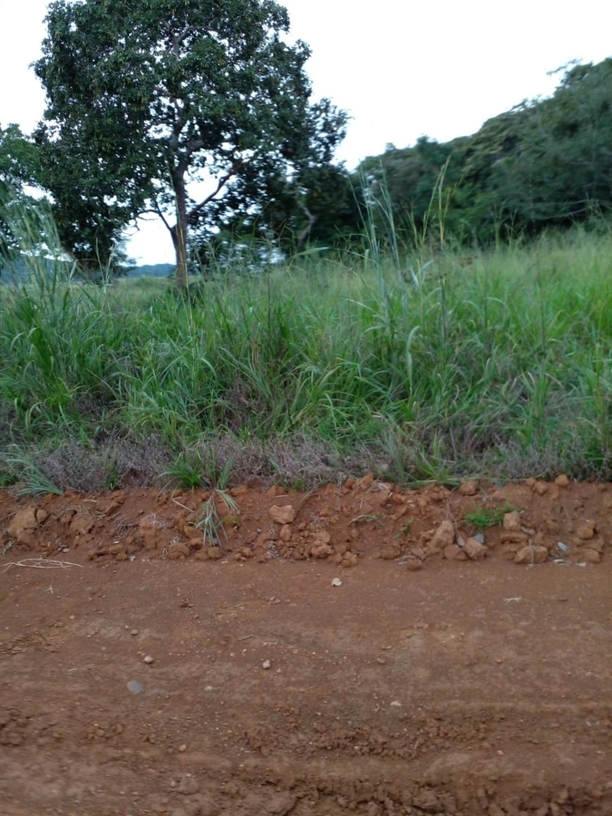 Fazenda/Sítios/Chácaras de 74300000m² no bairro Nobres, em Nobres | Eu Corretor