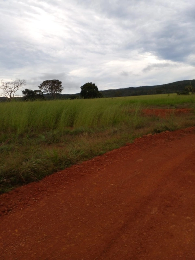 Fazenda/Sítios/Chácaras de 74300000m² no bairro Nobres, em Nobres | Eu Corretor