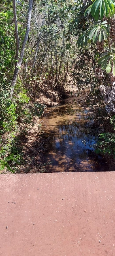 image_re_6770650.jpg