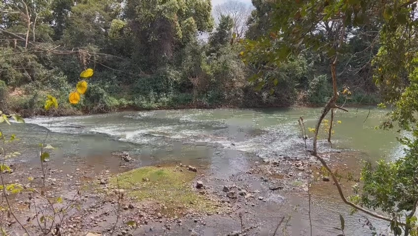 Fazenda/Sítios/Chácaras de 3800000m² no bairro Não informado, em Buritis | Eu Corretor