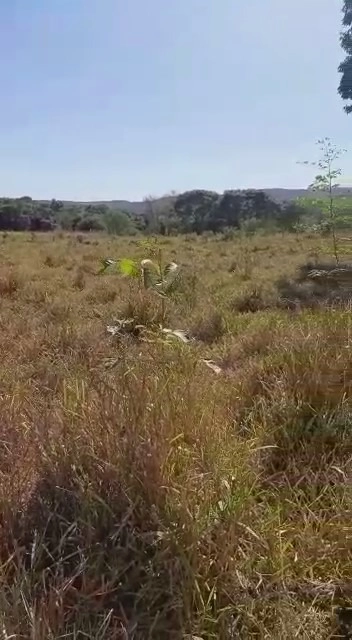 Fazenda/Sítios/Chácaras de 2700000m² no bairro Não informado, em Buritis | Eu Corretor