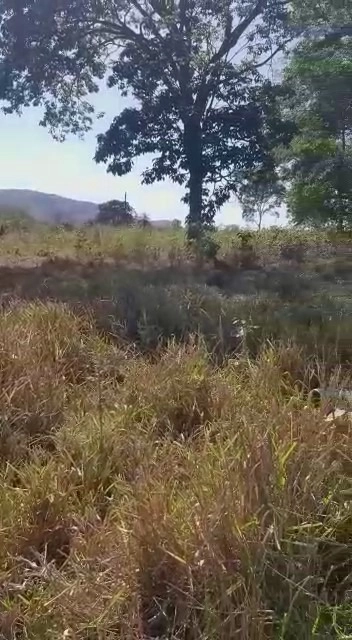 Fazenda/Sítios/Chácaras de 2700000m² no bairro Não informado, em Buritis | Eu Corretor
