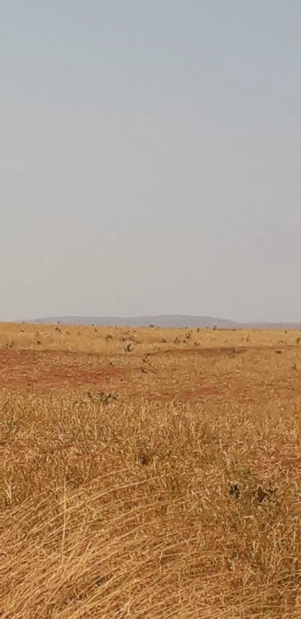 image_re_6770810.jpg