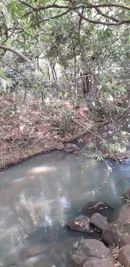 image_re_6770820.jpg