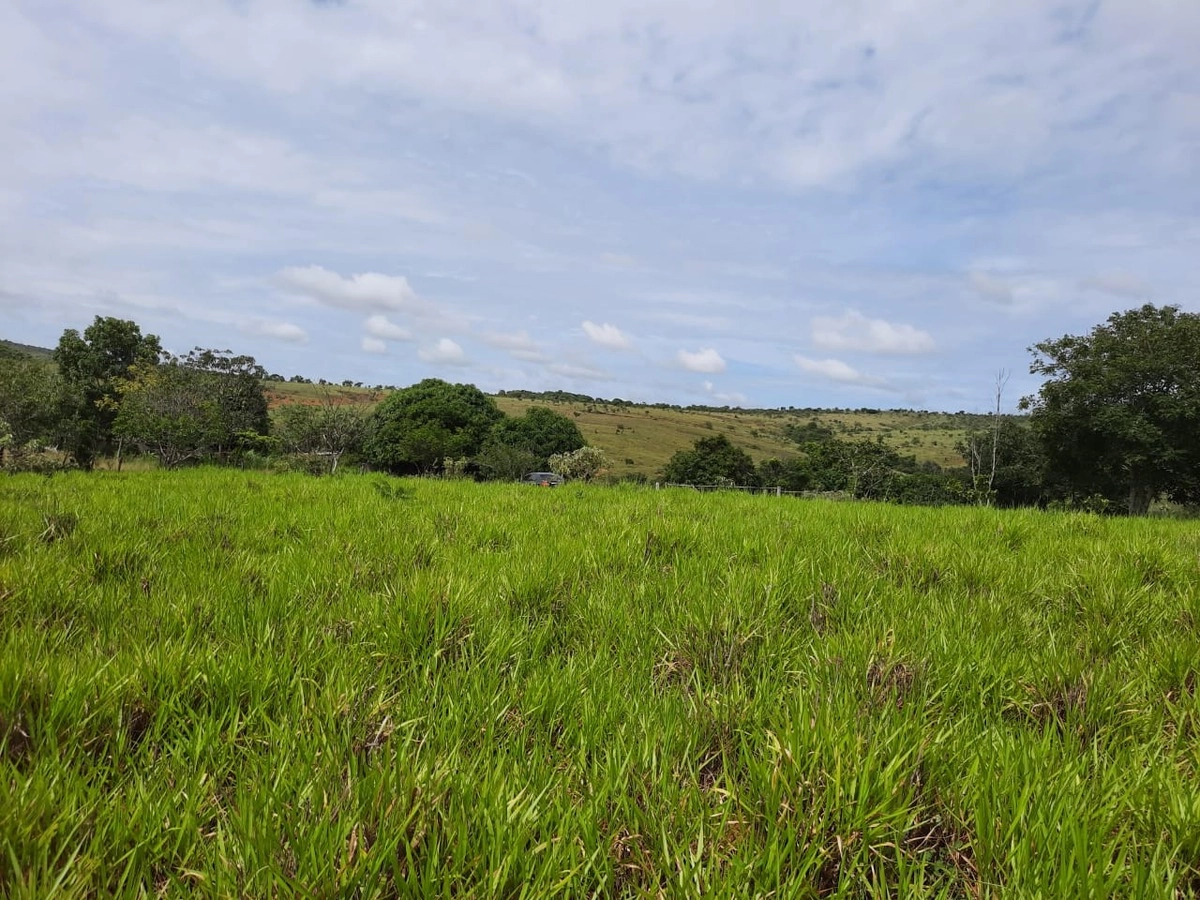image_re_6770866.jpg