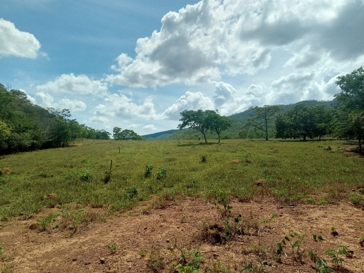 Fazenda/Sítios/Chácaras de 41140000m² no bairro Setor Leste, em Planaltina | Eu Corretor