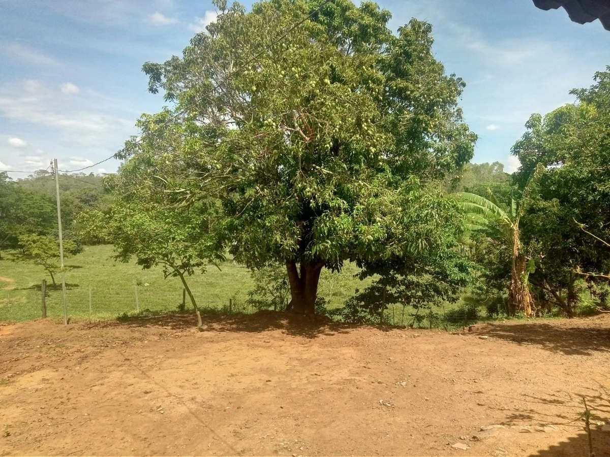 image_re_6770890.jpg