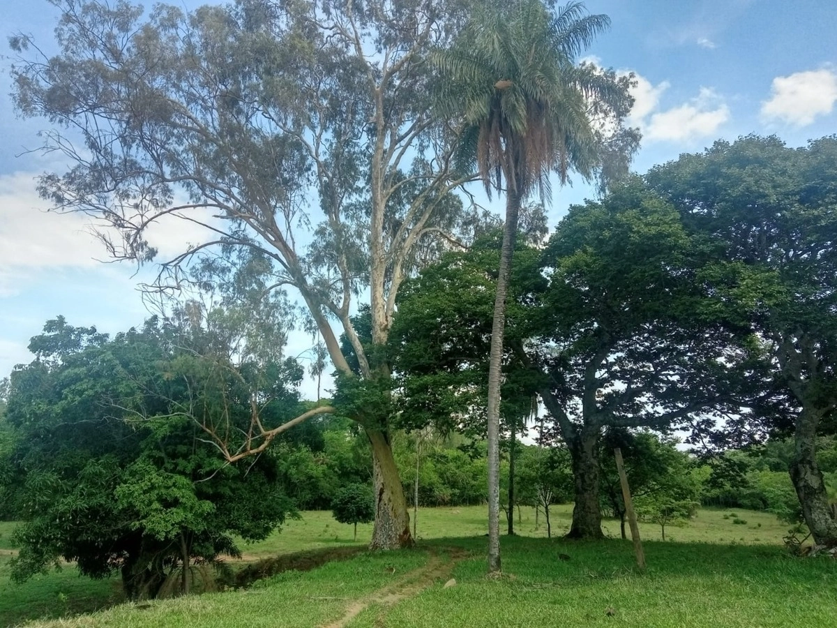 image_re_6770893.jpg