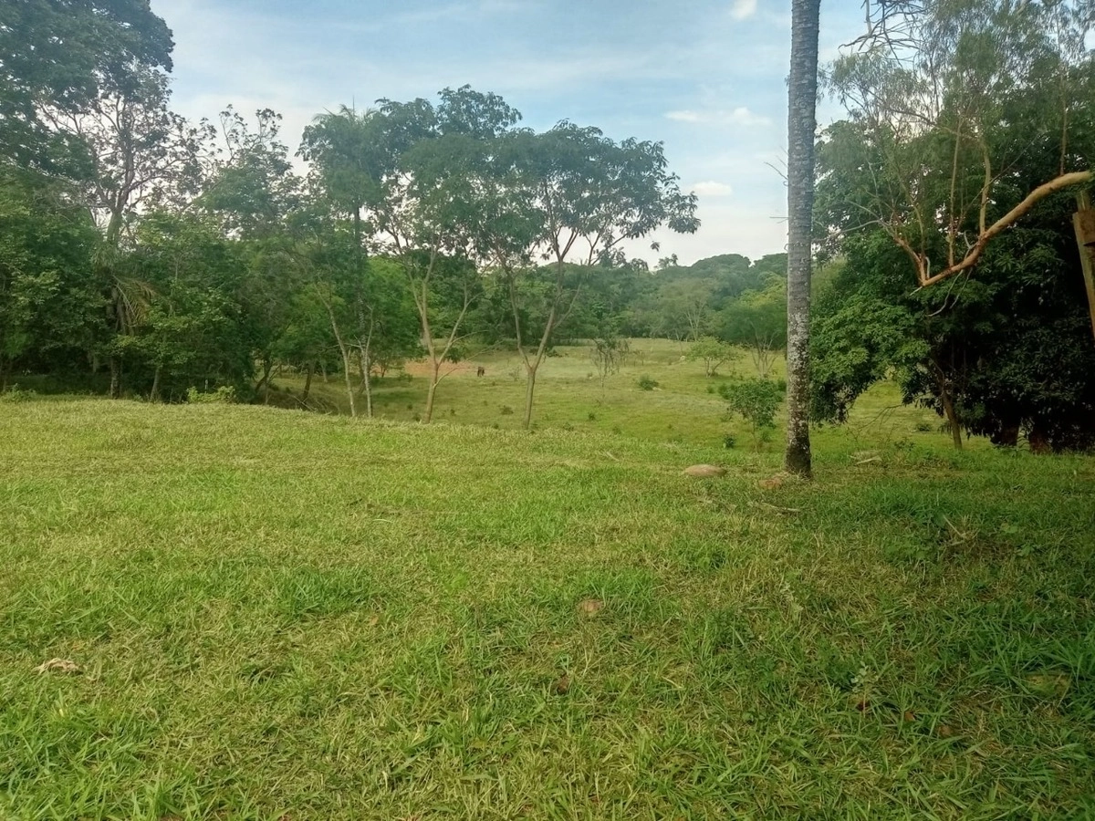 image_re_6770894.jpg