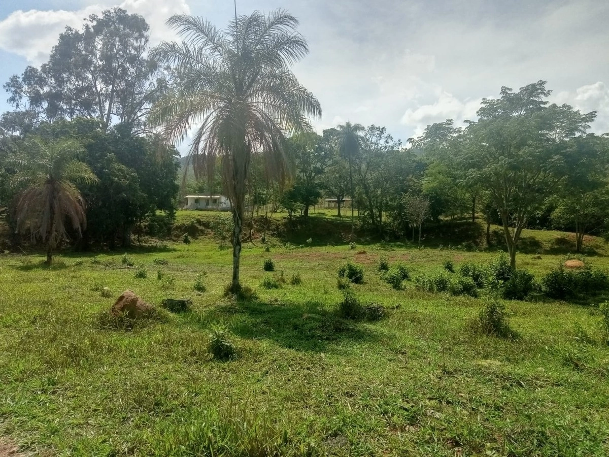 image_re_6770896.jpg