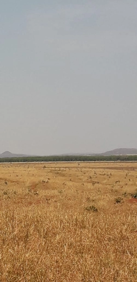 Fazenda/Sítios/Chácaras de 4210800m² no bairro Não informado, em Prata | Eu Corretor