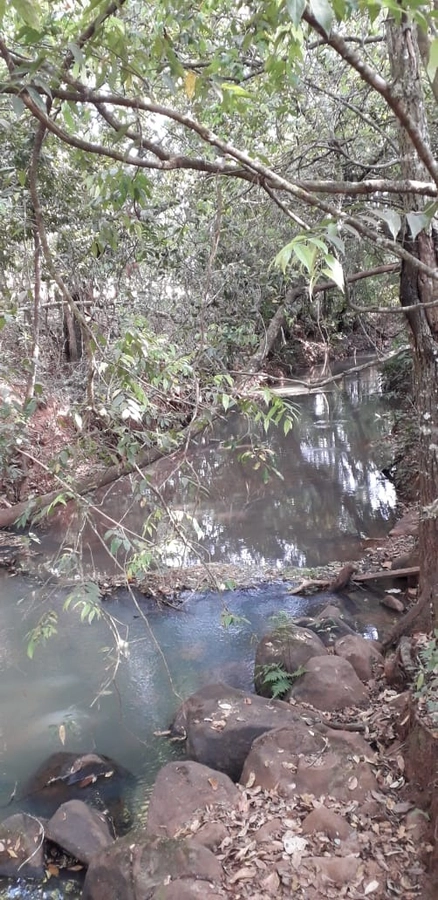 image_re_6770919.jpg