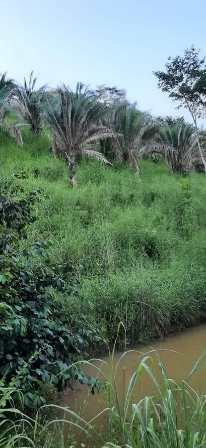 Fazenda/Sítios/Chácaras de 10160000m² no bairro Padre Bernardo, em Padre Bernardo | Eu Corretor