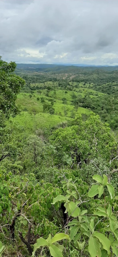 Fazenda/Sítios/Chácaras de 10160000m² no bairro Padre Bernardo, em Padre Bernardo | Eu Corretor